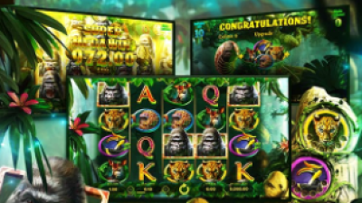 넷엔트 슬롯게임리뷰 고릴라 킹덤 슬롯 Gorilla Kingdom Slot