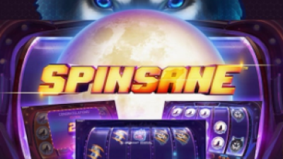 넷엔트 슬롯게임리뷰 스핀세인 슬롯 Spinsane Slot