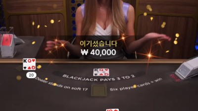 에볼루션게이밍 블랙잭 EvolutionGaming BlackJack 나이스 ㅋㅋㅋ