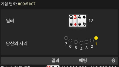 나루토카지노 블랙잭 후기