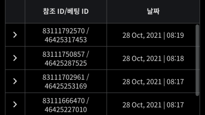 벳무브 후기글