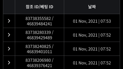 뱃무브 후기글