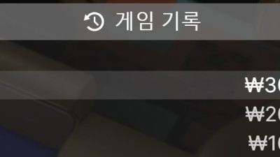 핑 카지노 룰렛  후기