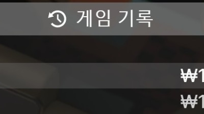 핑카지노 룰렛 후기