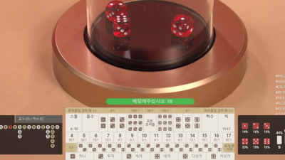 빅토리카지노 프라그마틱 플레이 메가식보 6떳는데 나머지가 너무 낮게나오네