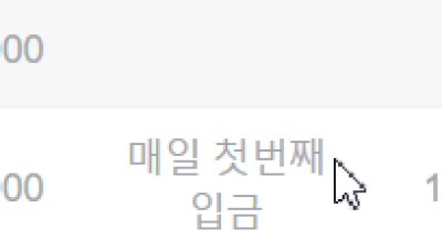 뉴헤븐후기