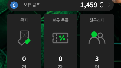 해외골프.한국 1년 후기