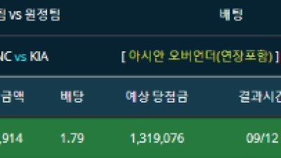 국내프로야구 NCvs기아 기준점 10.5오버 단폴더 적중