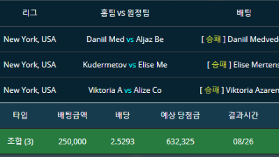 테니스 daniil medvedev 일반승 elise Mertens 일반승 Viktoria Azarenka 일반승 세폴더 적중