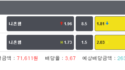 일본야구 라쿠텐 1.5마핸승 기준점 8.5언더 두폴더 적중