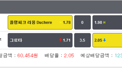 축구 잡리그 리옹 duchere 0핸디승  그로타 3.5언더 두폴더 적중