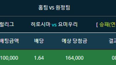 일본야구 히로시마vs요미우리 히로시마 일반승 단폴더 적중