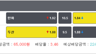 국내야구 한화vsKT 10.5언더 두산vs롯데 9.5오버 두폴더 적중