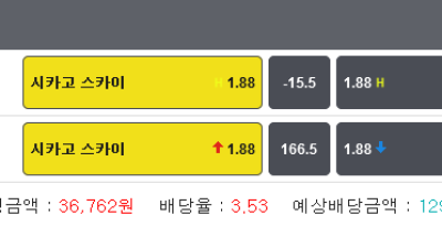 WNBA 시카고 스카이 15.5마핸승 166.5오바 두폴더 적중