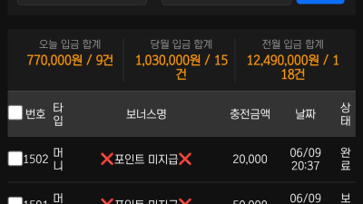 보스 실제 이용 후기