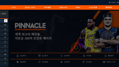 피나클 게임할랬는데 전부오류걸리네 pinnacle119com