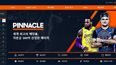 피나클 진짜 더러워서 안간다 pinnacle119com